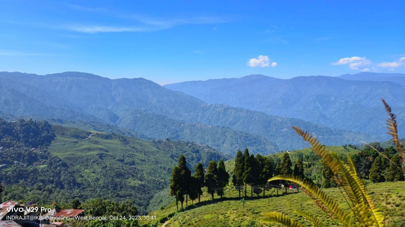Valley View Homestay Darjeeling  Eksteriør billede